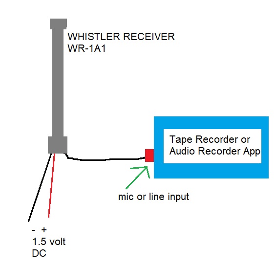 sensor